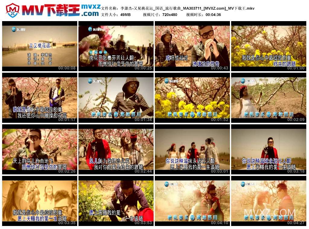 李萧杰-又见桃花运_国语_流行歌曲_MA303711